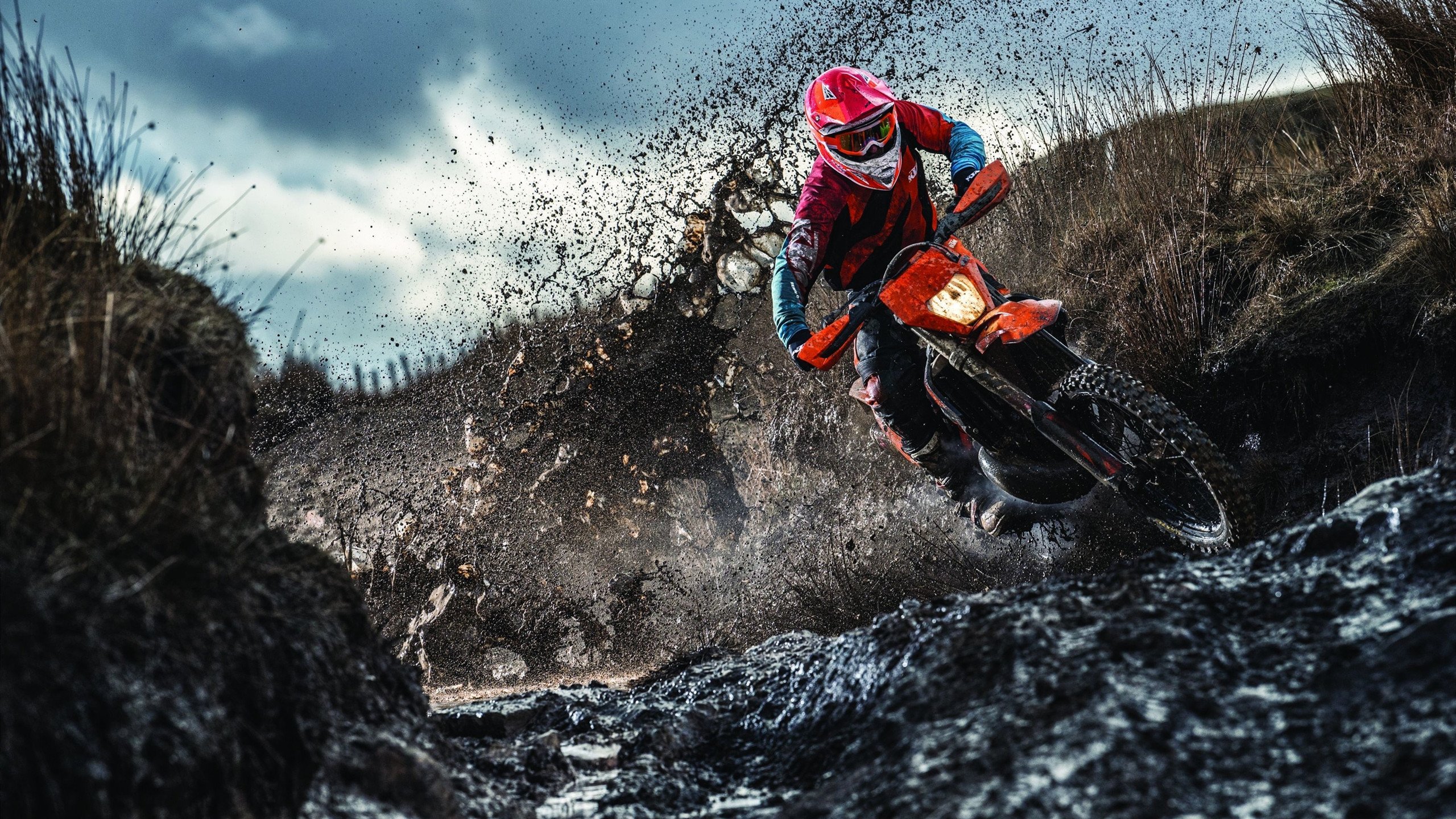 9游电竞站-“华金·托比利亚的坚韧精神与防守技术，帮助美洲狮队巩固全球地位”